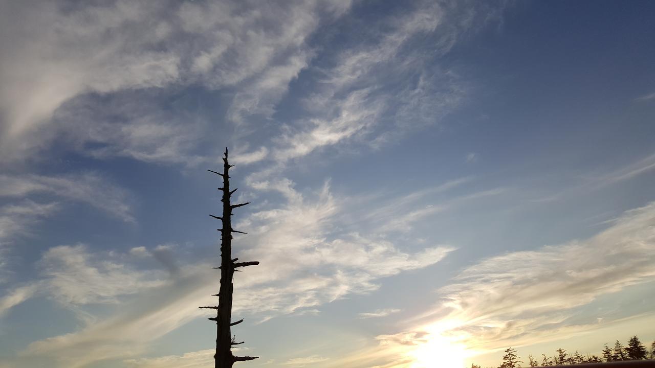 Reef Point Oceanfront Bed And Breakfast Ucluelet Εξωτερικό φωτογραφία