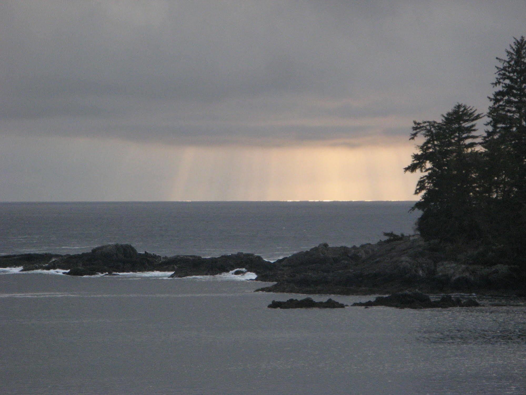 Reef Point Oceanfront Bed And Breakfast Ucluelet Εξωτερικό φωτογραφία